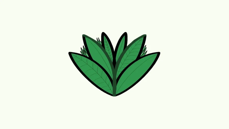 Préinscription professionnel !! 